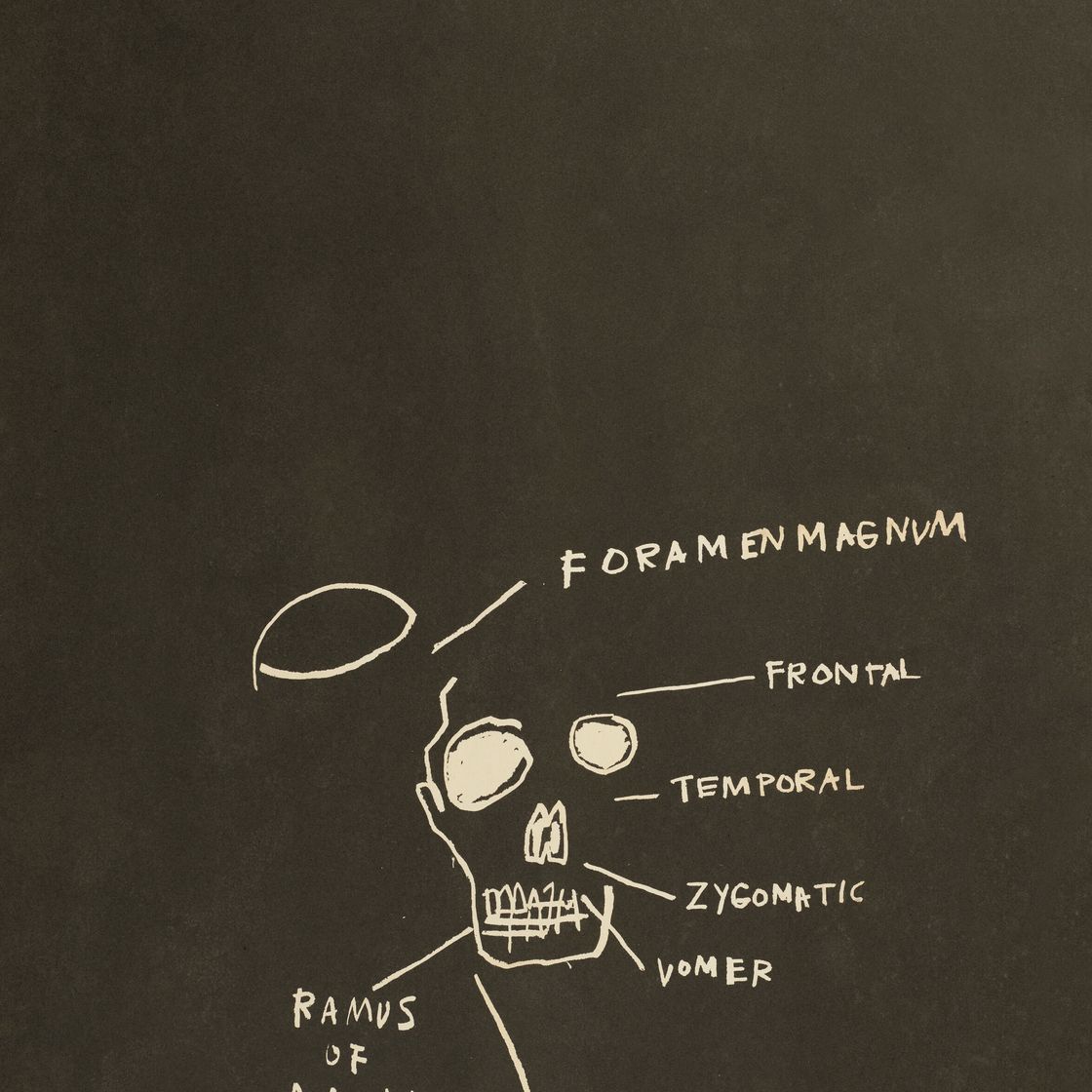Jean-Michel Basquiat — Без названия (ветвь нижней челюсти) из анатомии