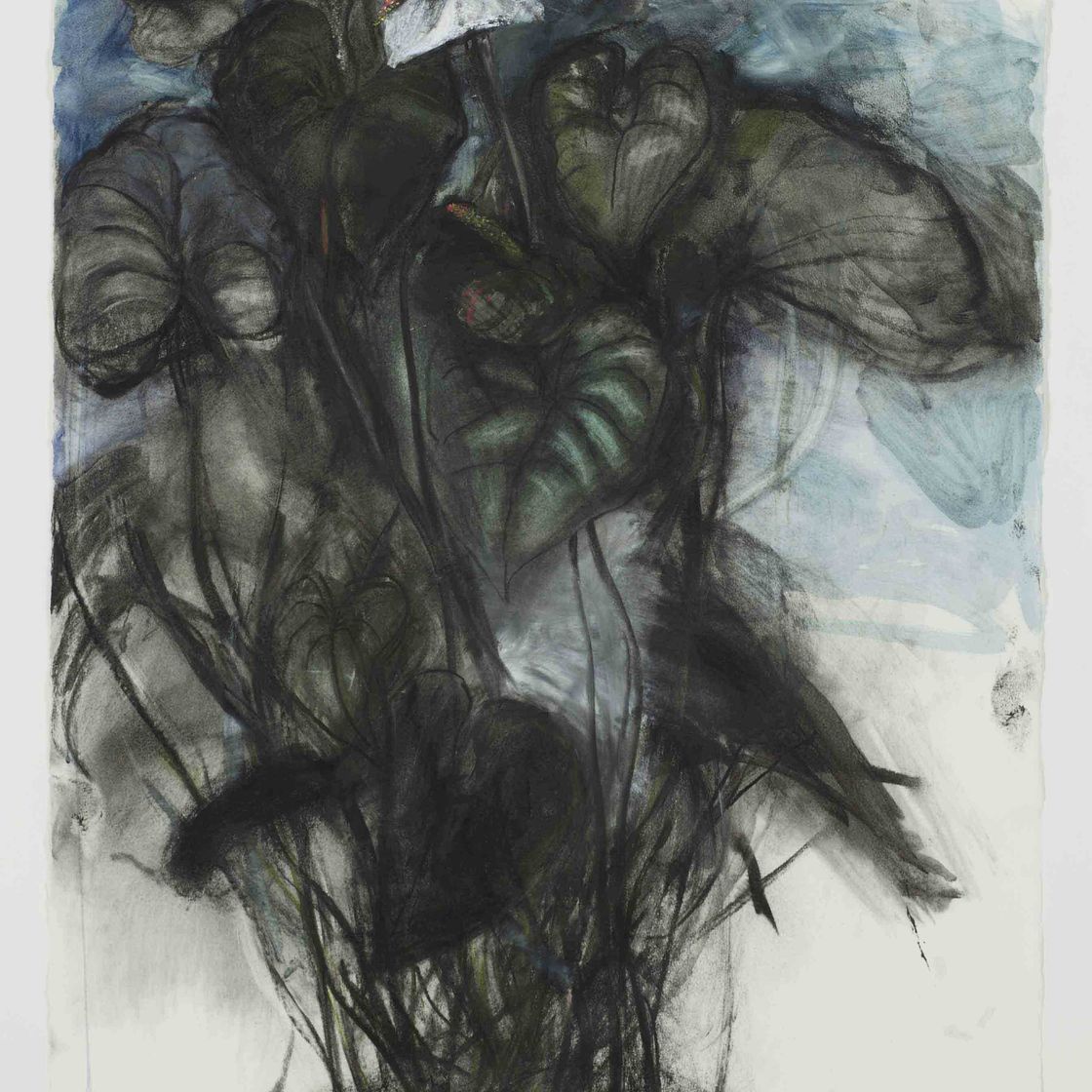 Jim Dine — Без названия (водяные лилии)