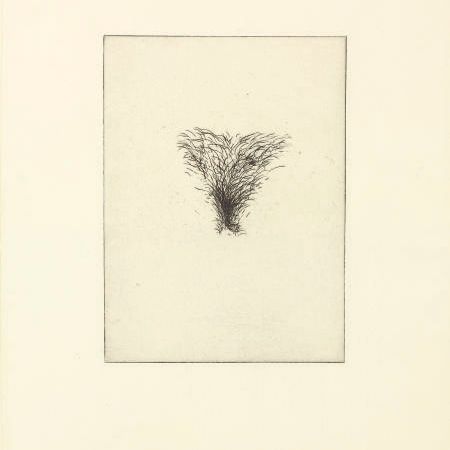 Jim Dine — Четыре вида лобковых волос (W. C. 39-42)