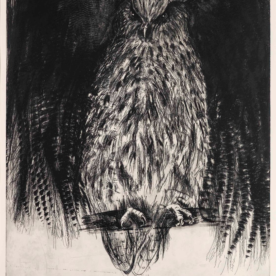 Jim Dine — Сова