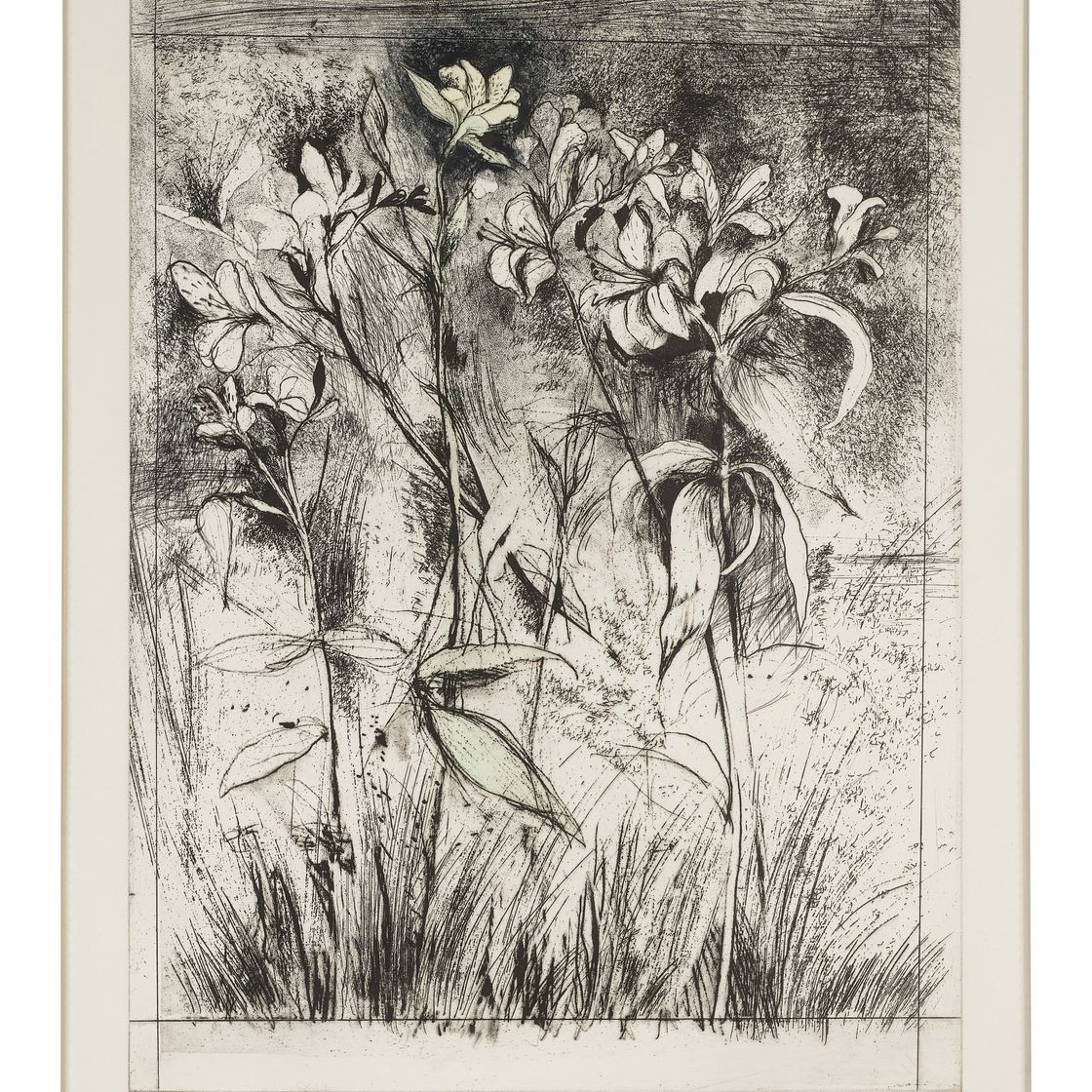 Jim Dine — Великолепные лилии из Храма флоры