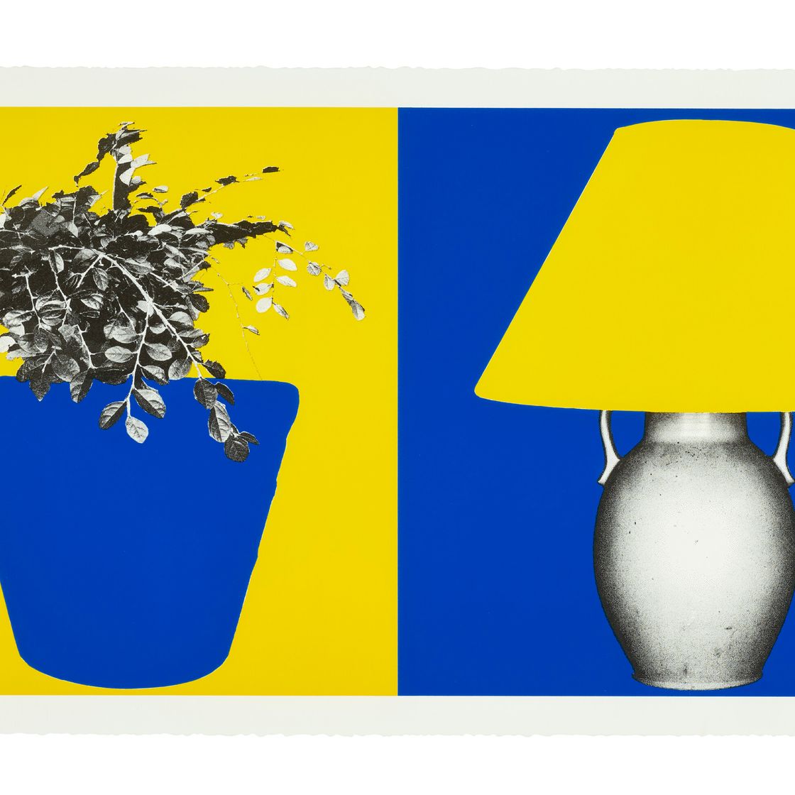 John Baldessari — Растение и лампа (B+Y;Y+B)