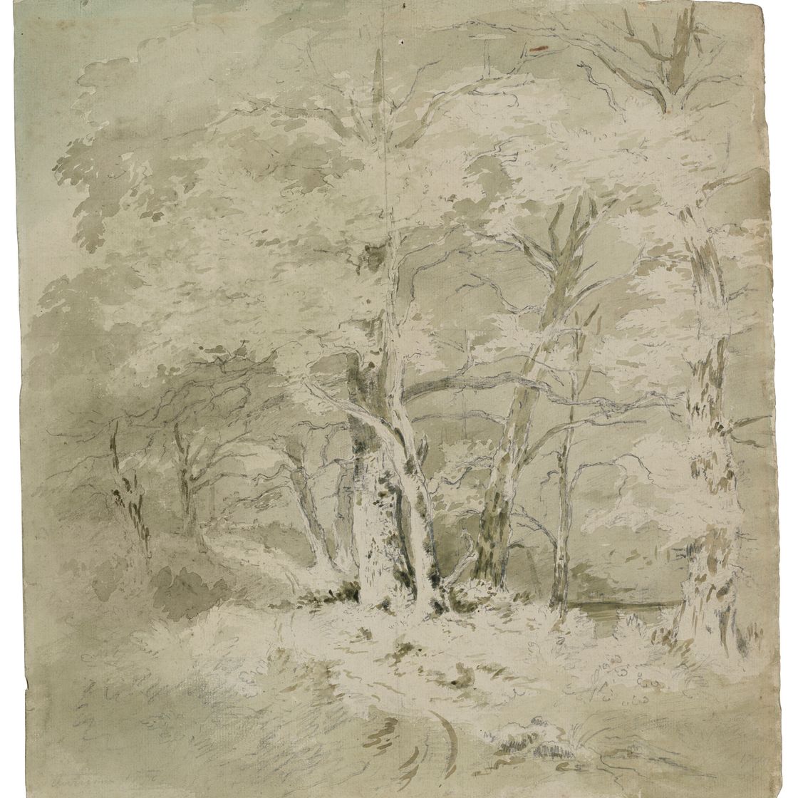 John Constable — Изучение деревьев, изображение 1