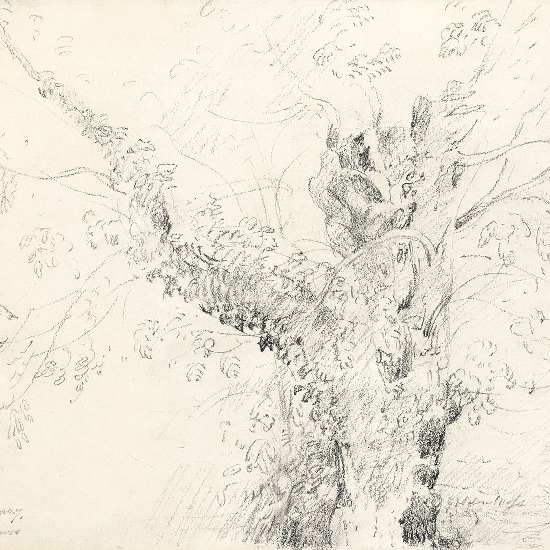 John Constable — Ива на Флэтфордских лугах