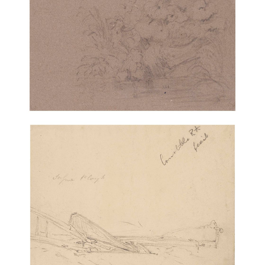 John Constable — Изучение растений и горных пород; а также рисунок плуга ( справа ) и набросок собачьей головы ( сзади ).