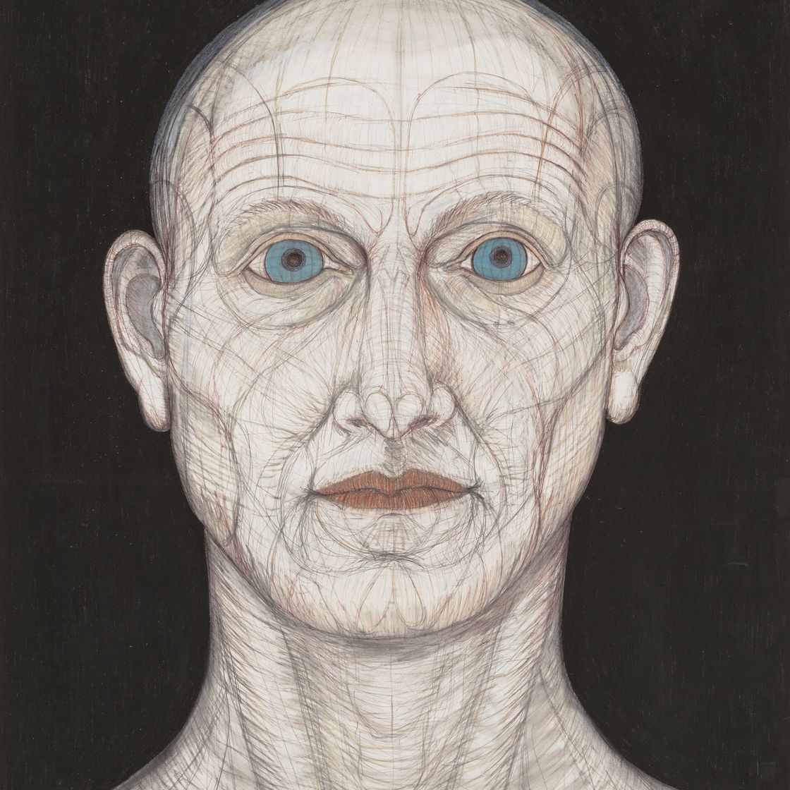 John Davies — Рисунок Джей Ди.