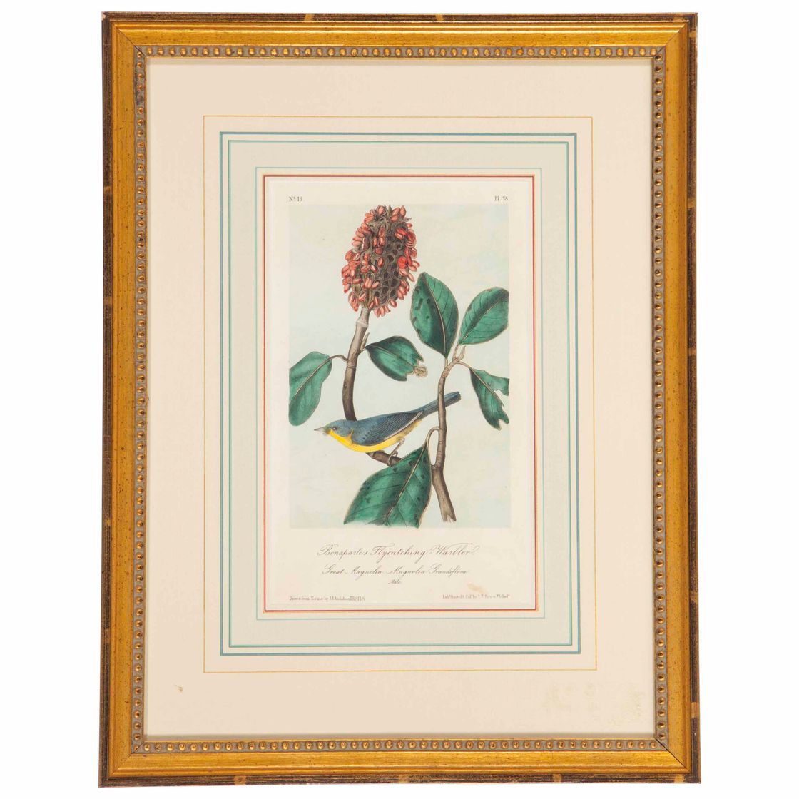 John James Audubon — ПО МОТИВАМ ДЖОНА ДЖЕЙМСА ОДЮБОНА, АВТОР ДЖОН Т. БОУЭН