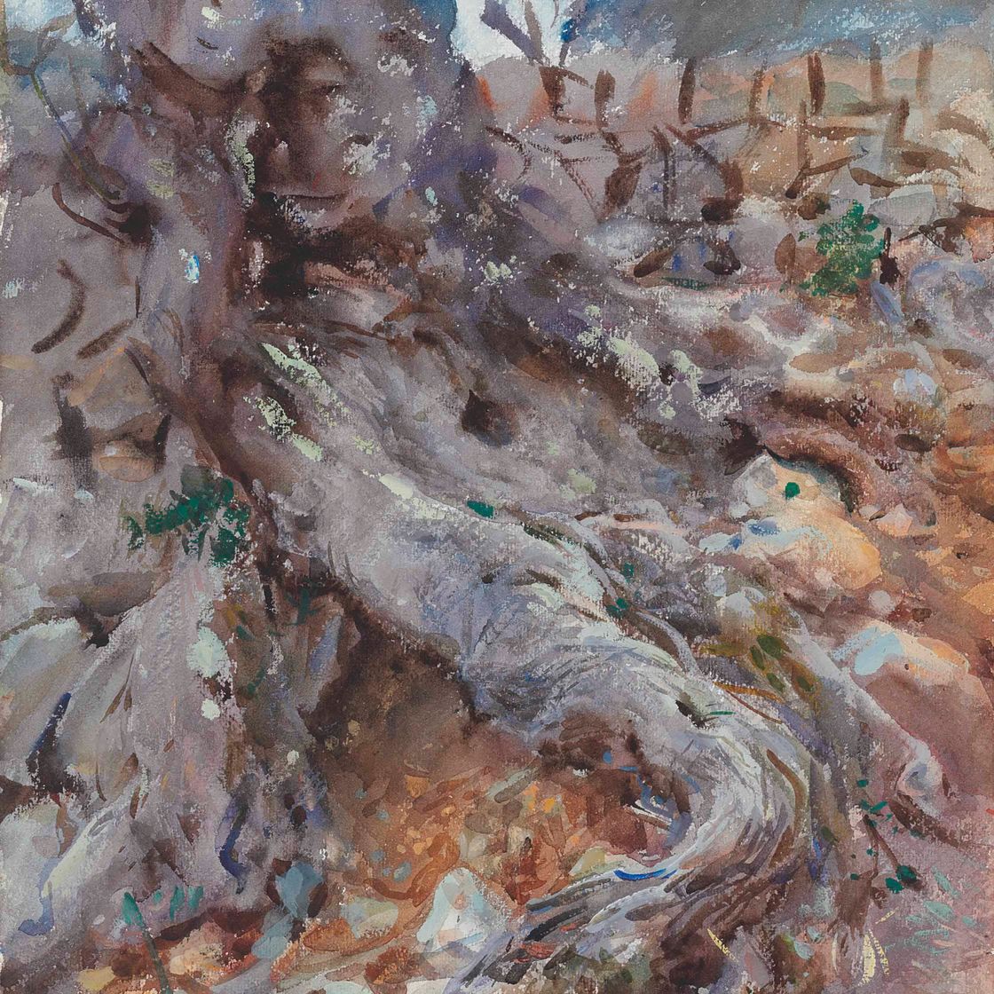 John Singer Sargent — Ствол оливы