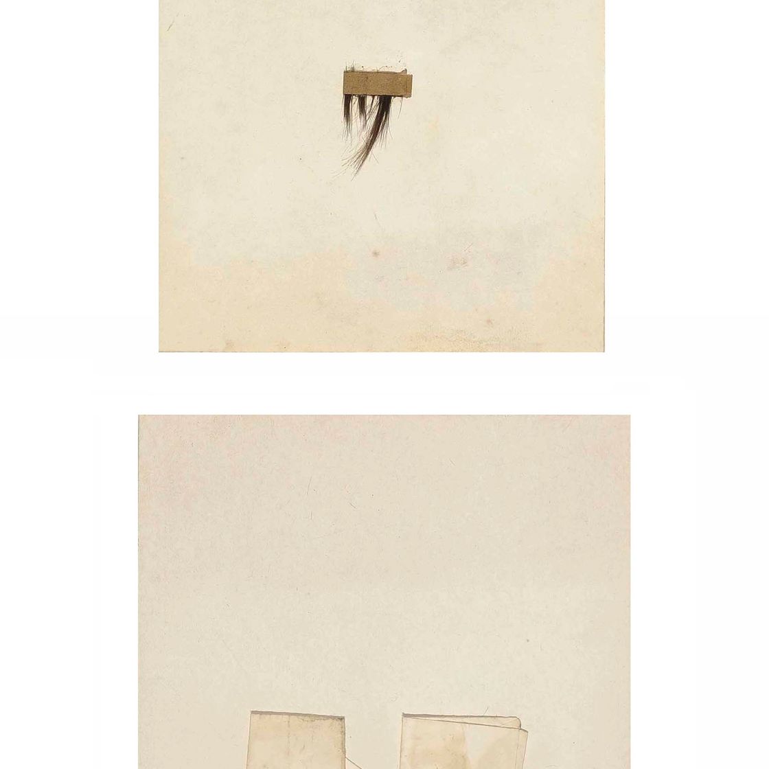Joseph Beuys — Дуговой свет