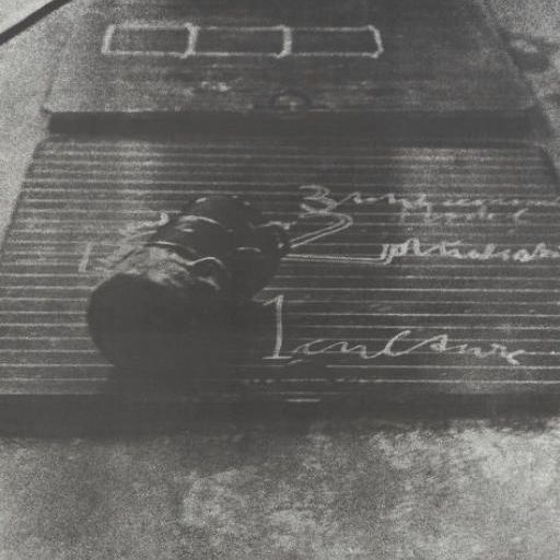 Joseph Beuys — В голове и в горшке (щ. 268)