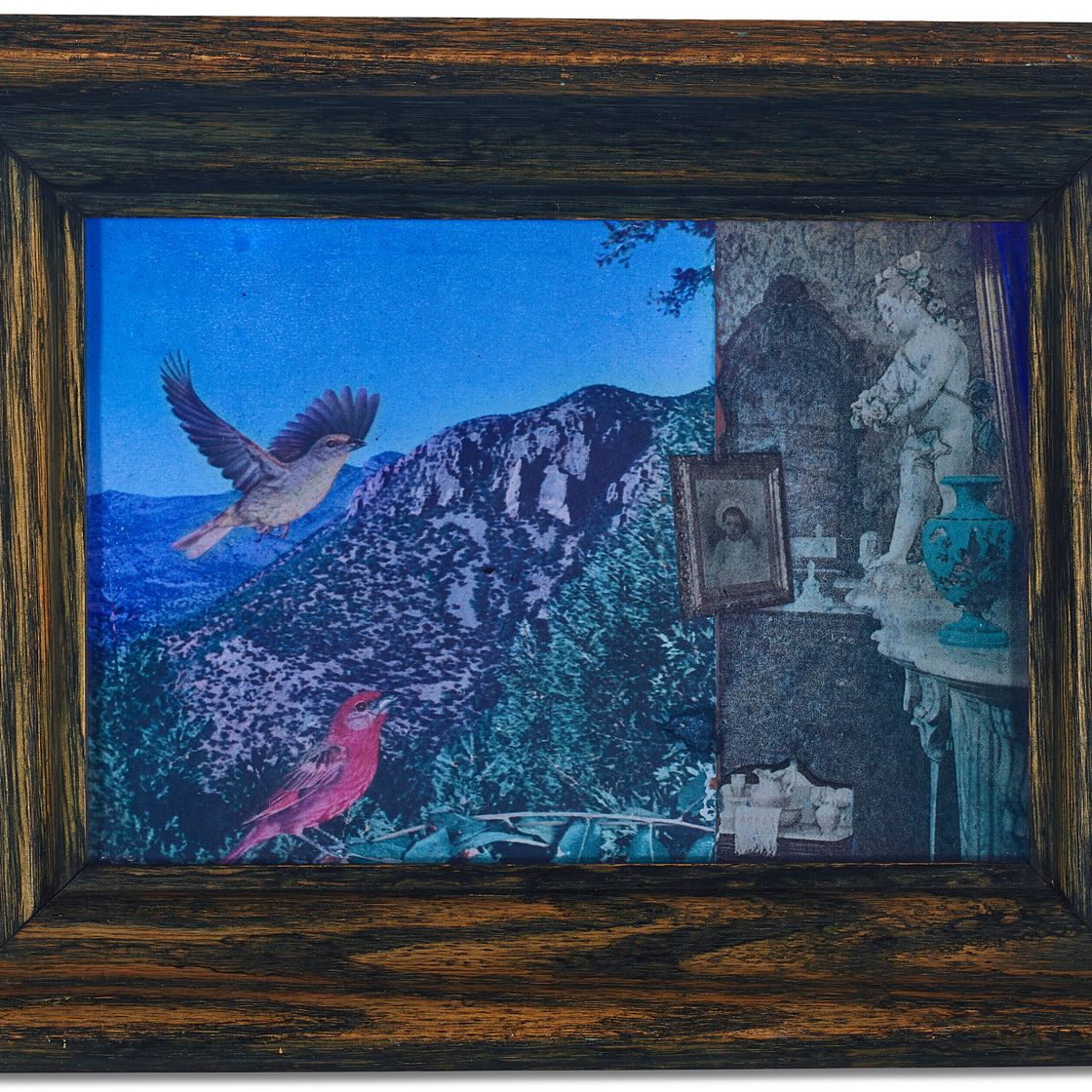 Joseph Cornell — Без названия (требуется синее стекло), изображение 1