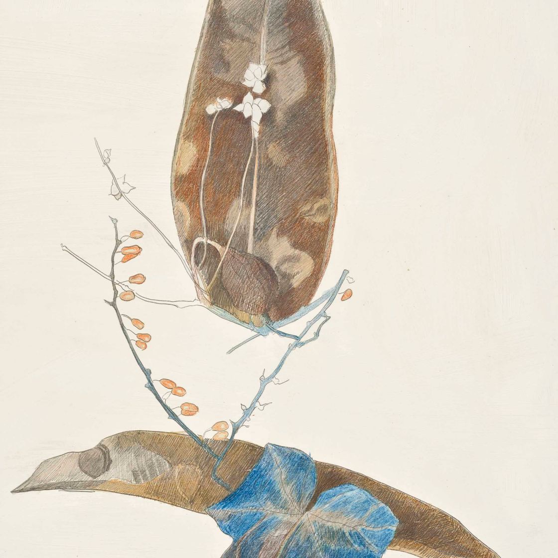Joseph Stella — Голубой плющ, Горько-сладкий и с листьями