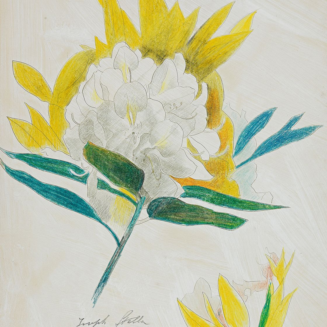 Joseph Stella — Цветок кактуса, изображение 1