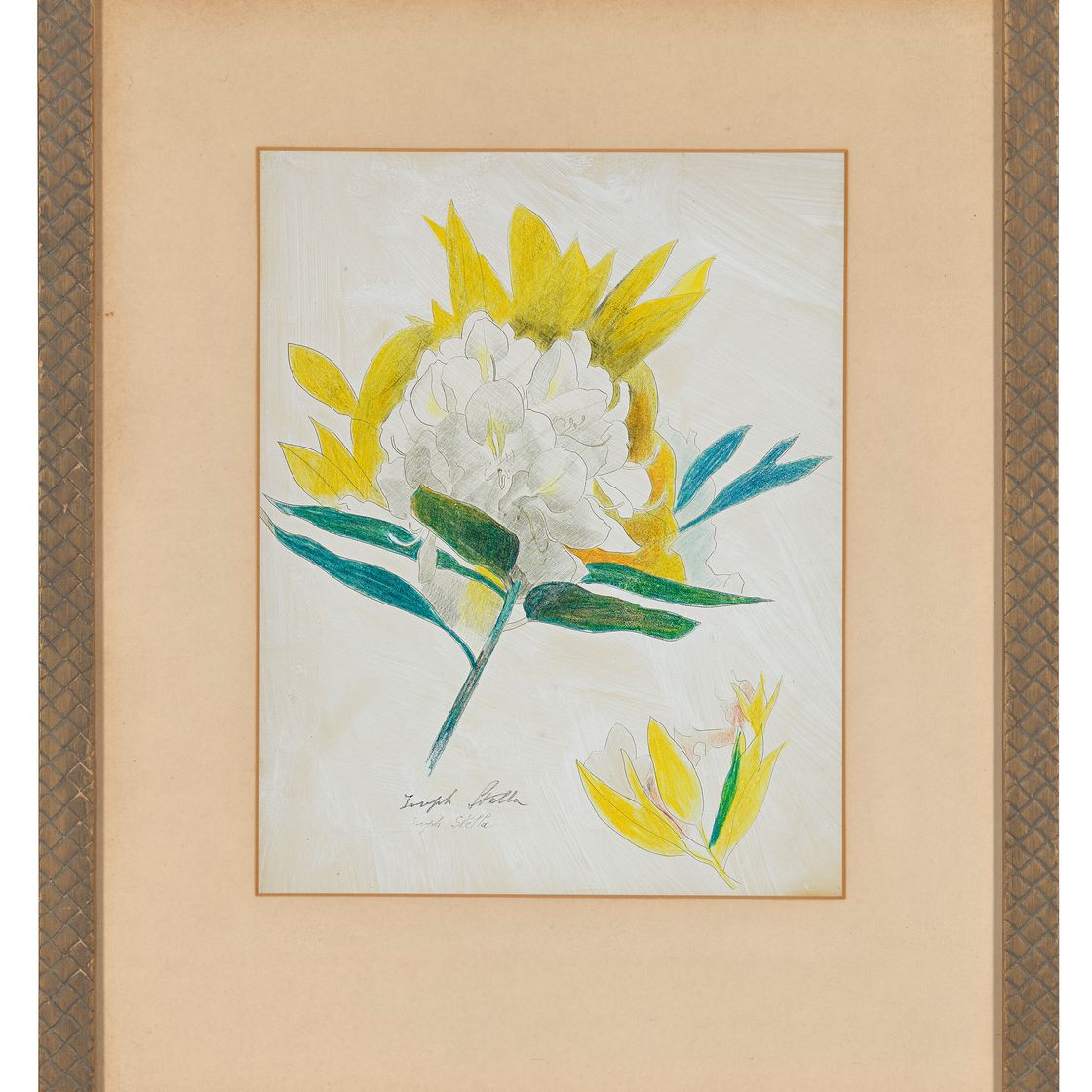 Joseph Stella — Цветок кактуса, изображение 2