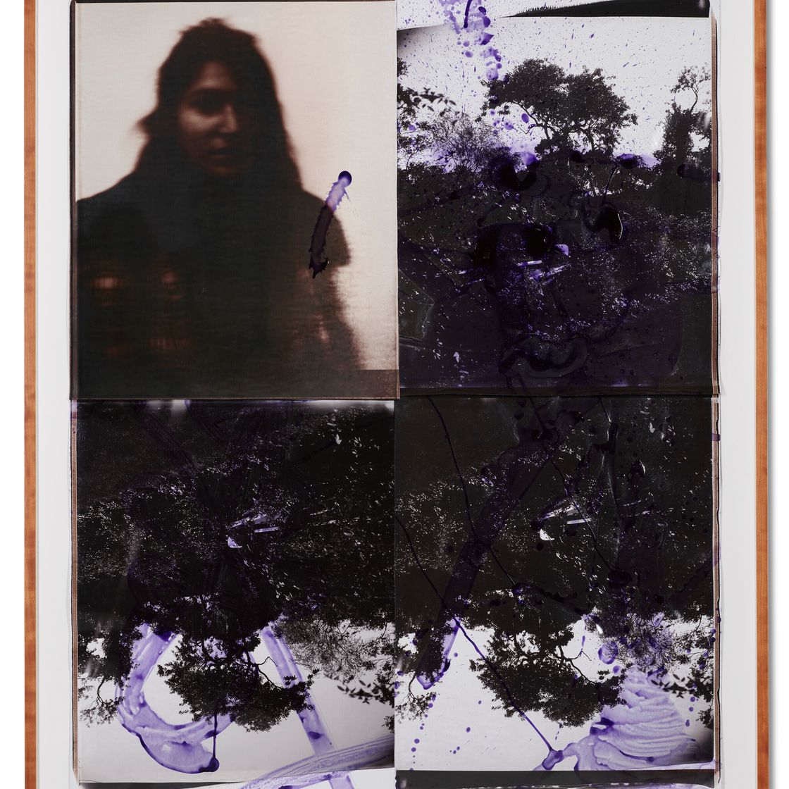 Julian Schnabel — Без названия, изображение 2