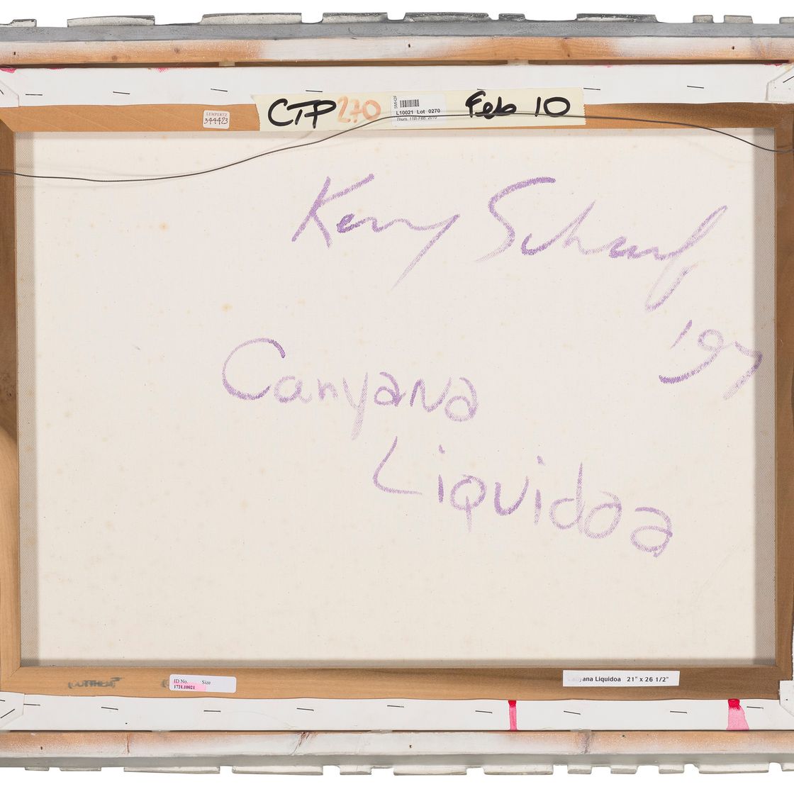 Kenny Scharf — Каньяна Ликвидоа, изображение 2