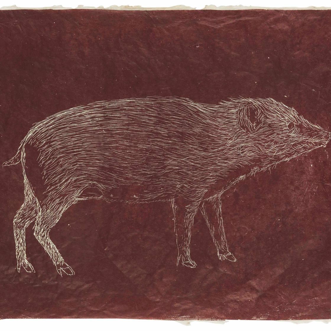 Kiki Smith — Свинья, изображение 1