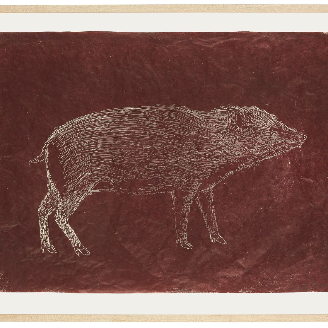 Kiki Smith — Свинья, изображение 2