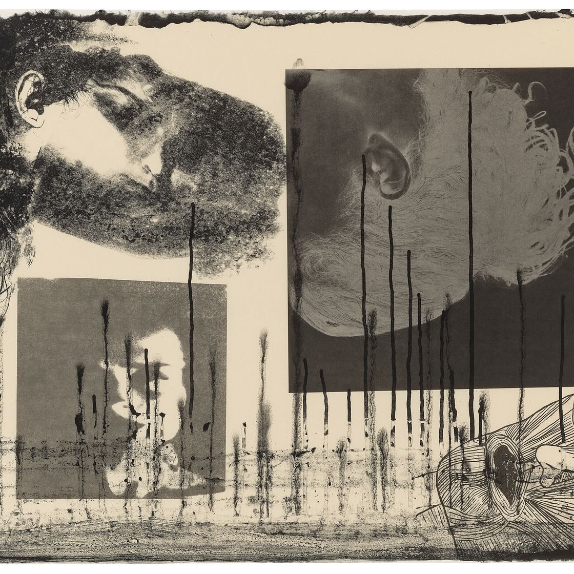 Kiki Smith — Жемчуг Банши, изображение 3