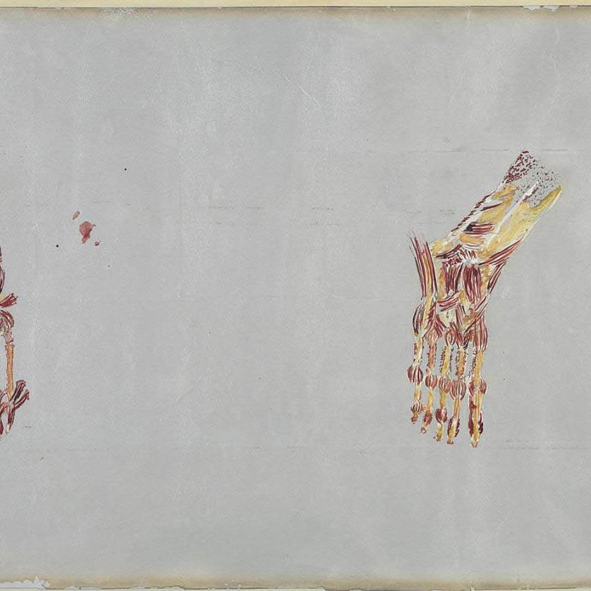 Kiki Smith — Без названия (футы)