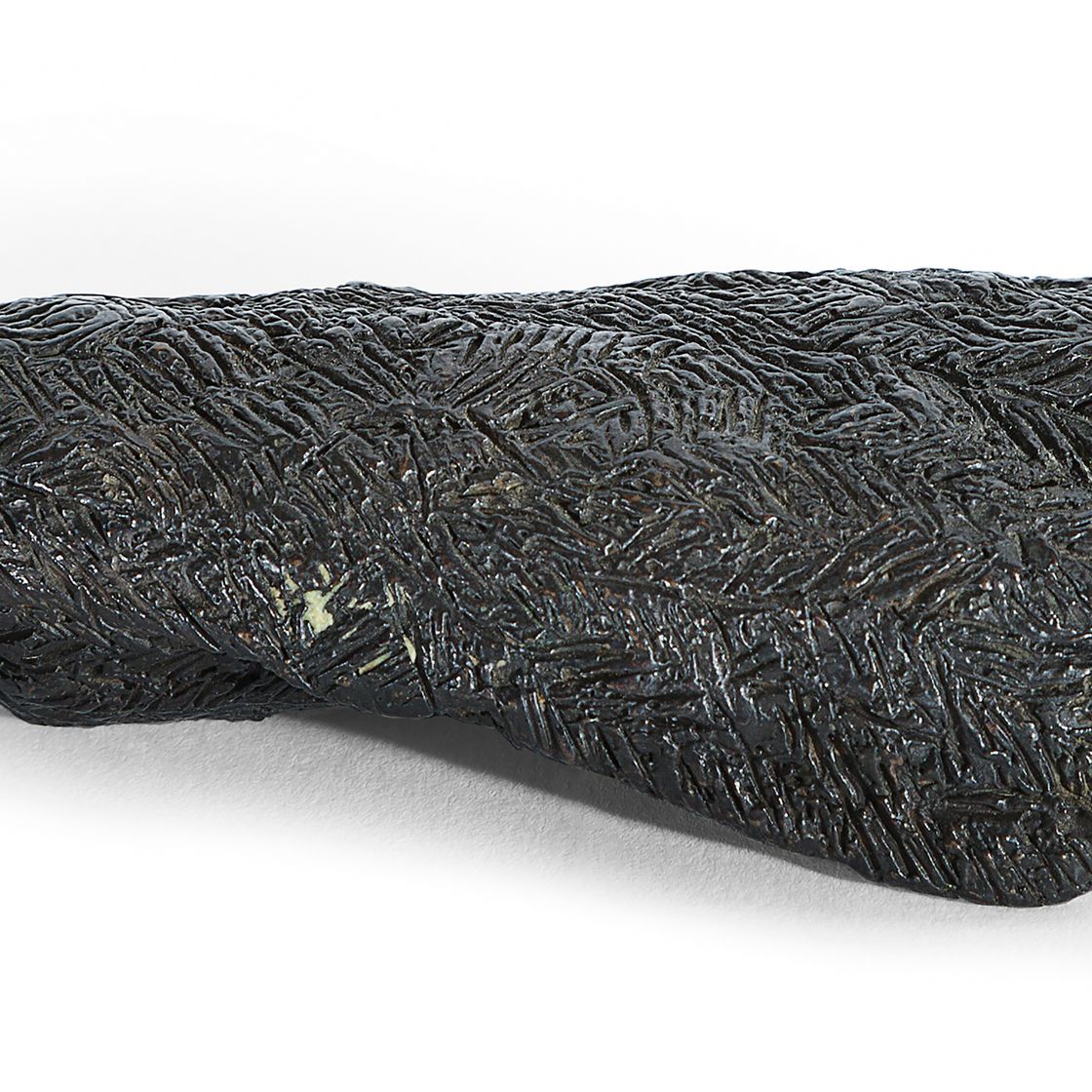 Kiki Smith — Птица