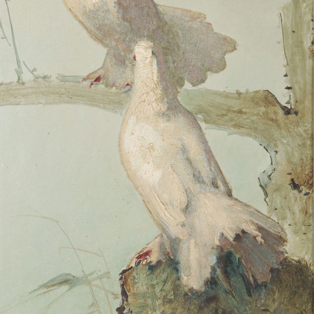 Lee Fong — Голуби