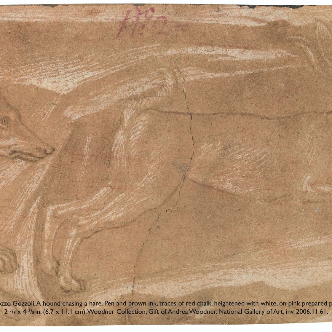 Leonardo da Vinci — Голова медведя, изображение 6