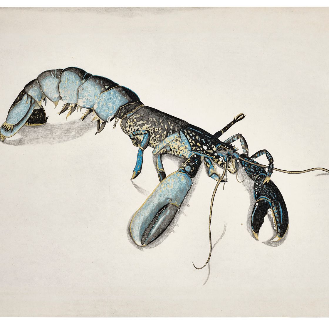 Lucian Freud — Лобстер, изображение 3