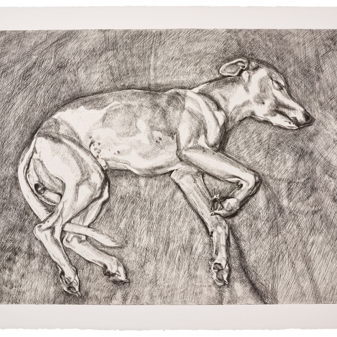 Lucian Freud — Илай