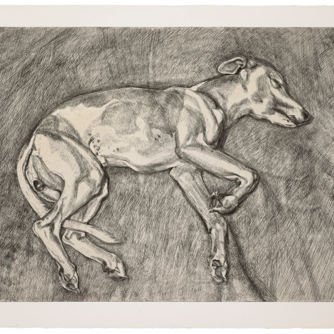 Lucian Freud — Илай