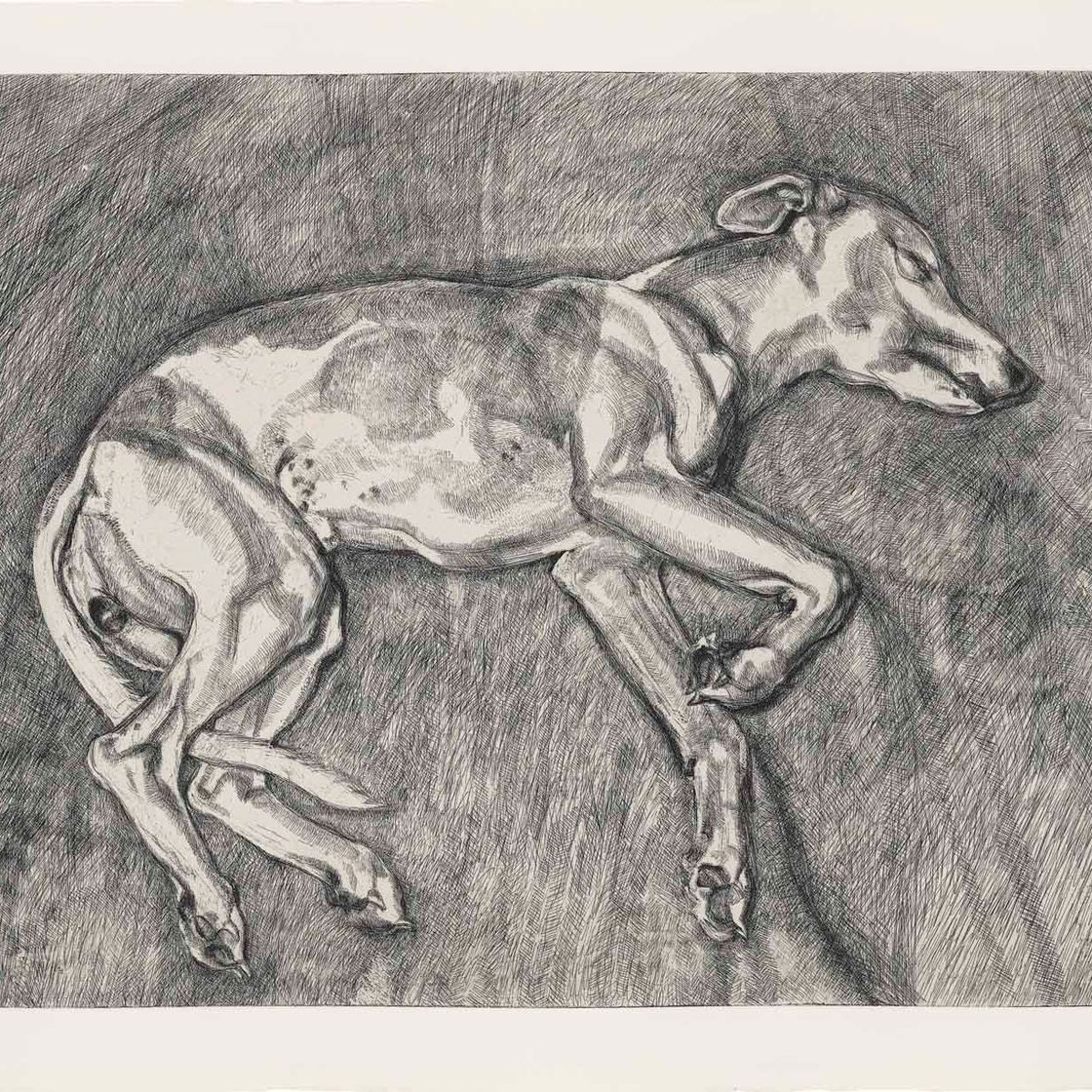 Lucian Freud — Илай