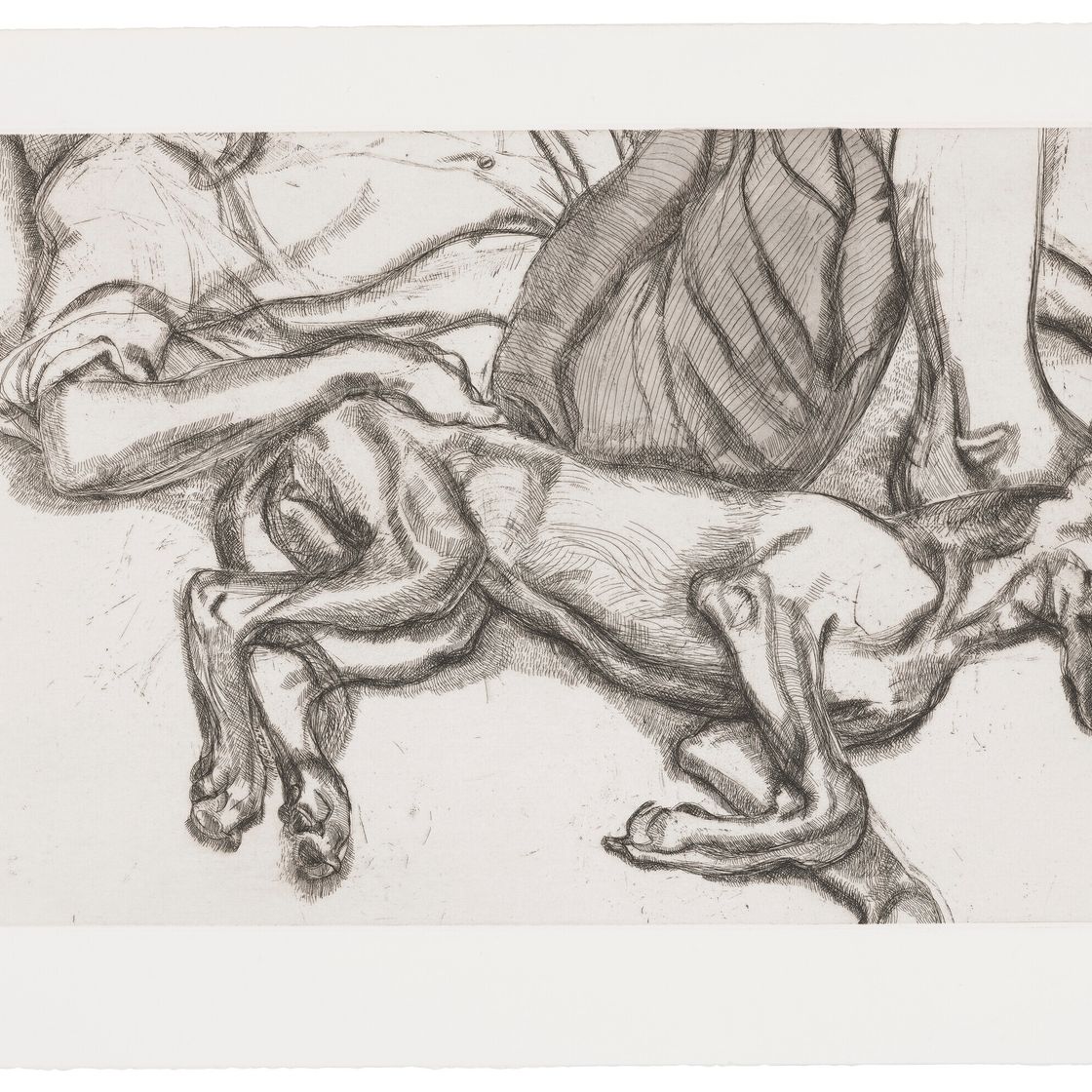 Lucian Freud — Плутон