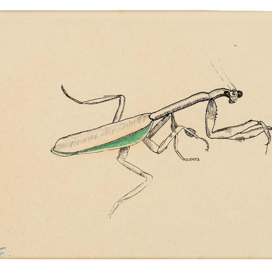 Lucian Freud — Богомол