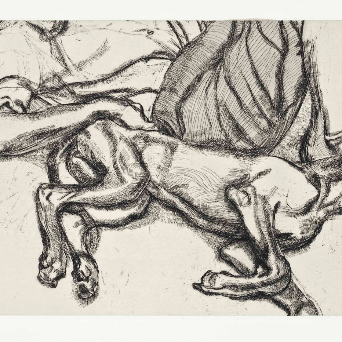 Lucian Freud — Плутон