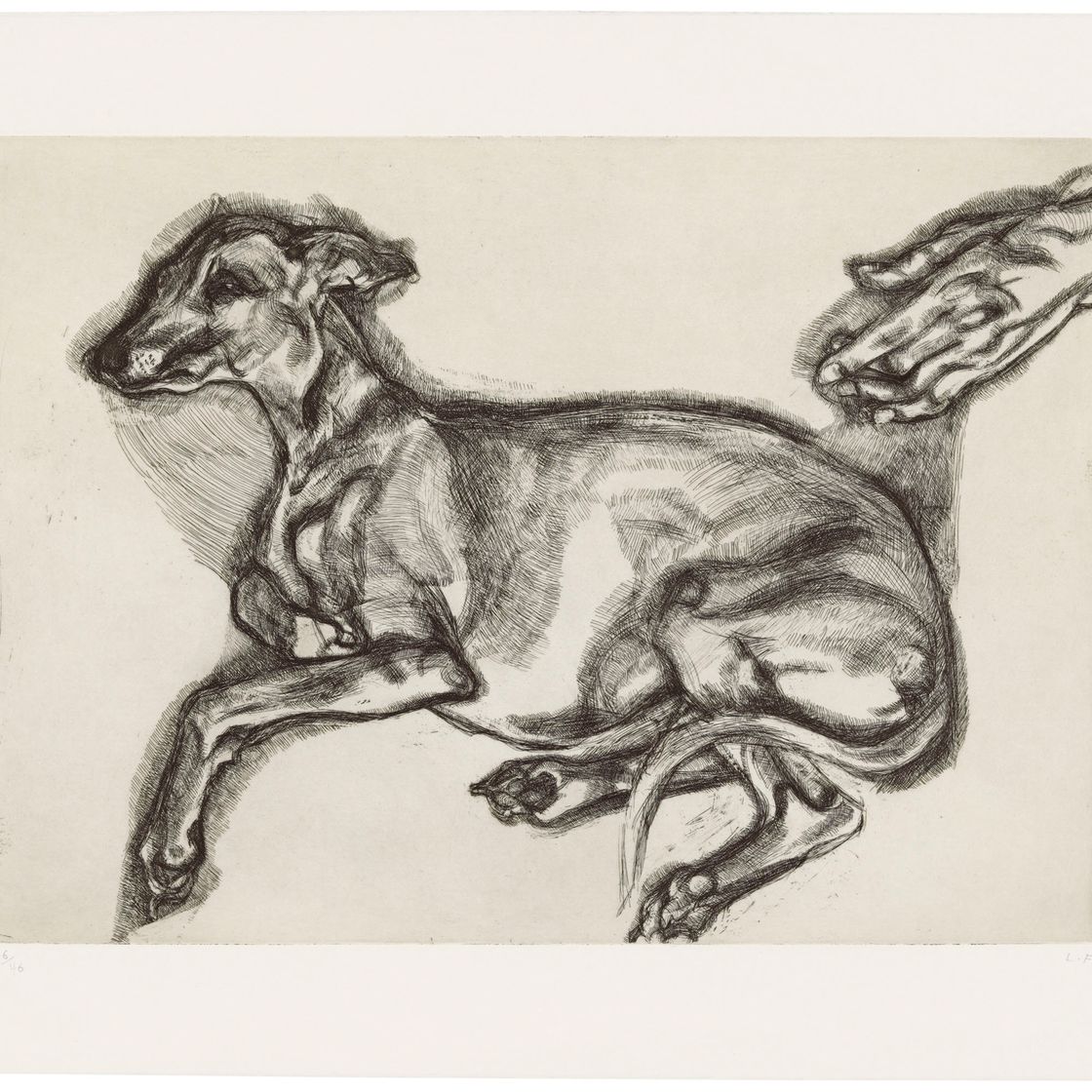 Lucian Freud — Плутону было двенадцать лет
