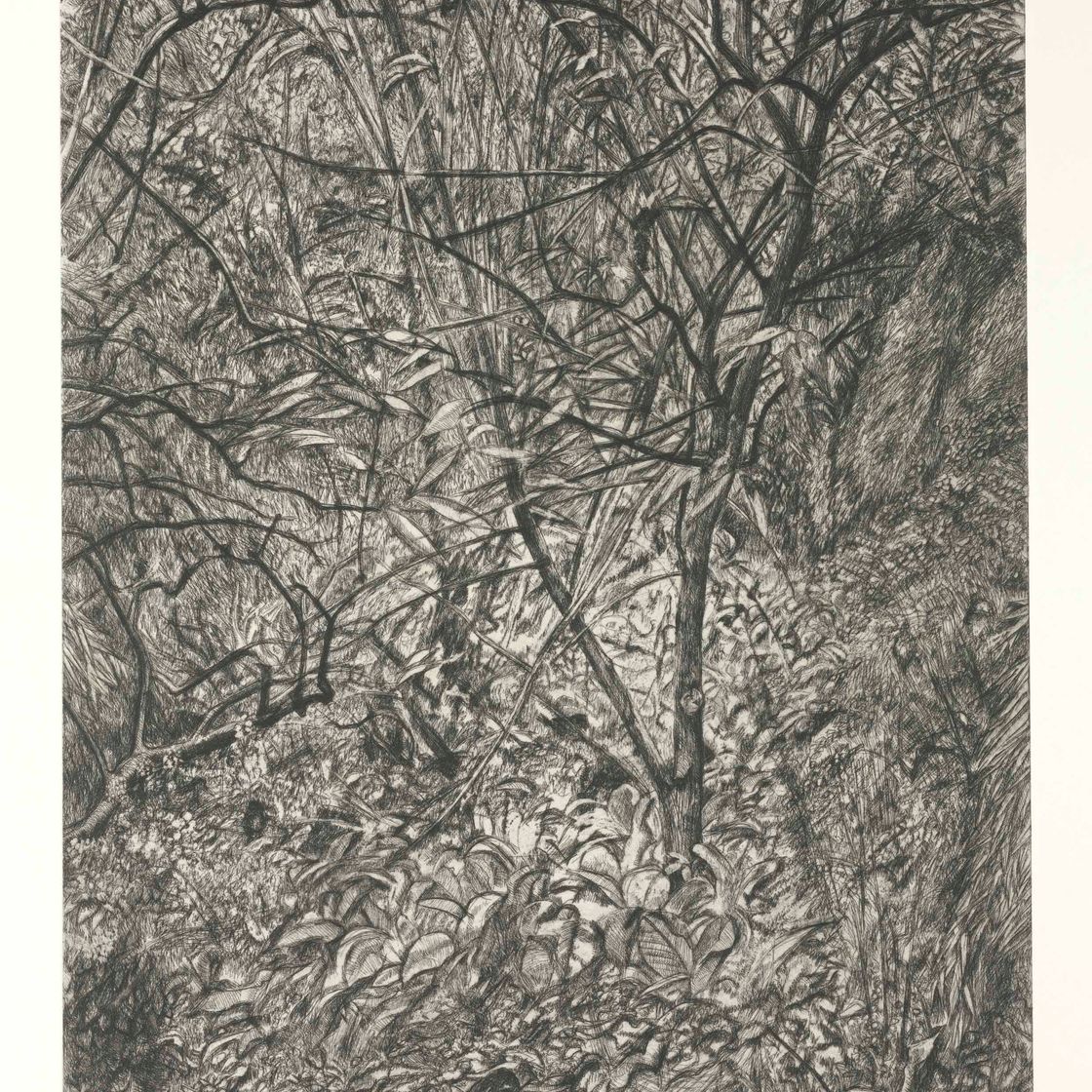 Lucian Freud — Зимний сад, изображение 1