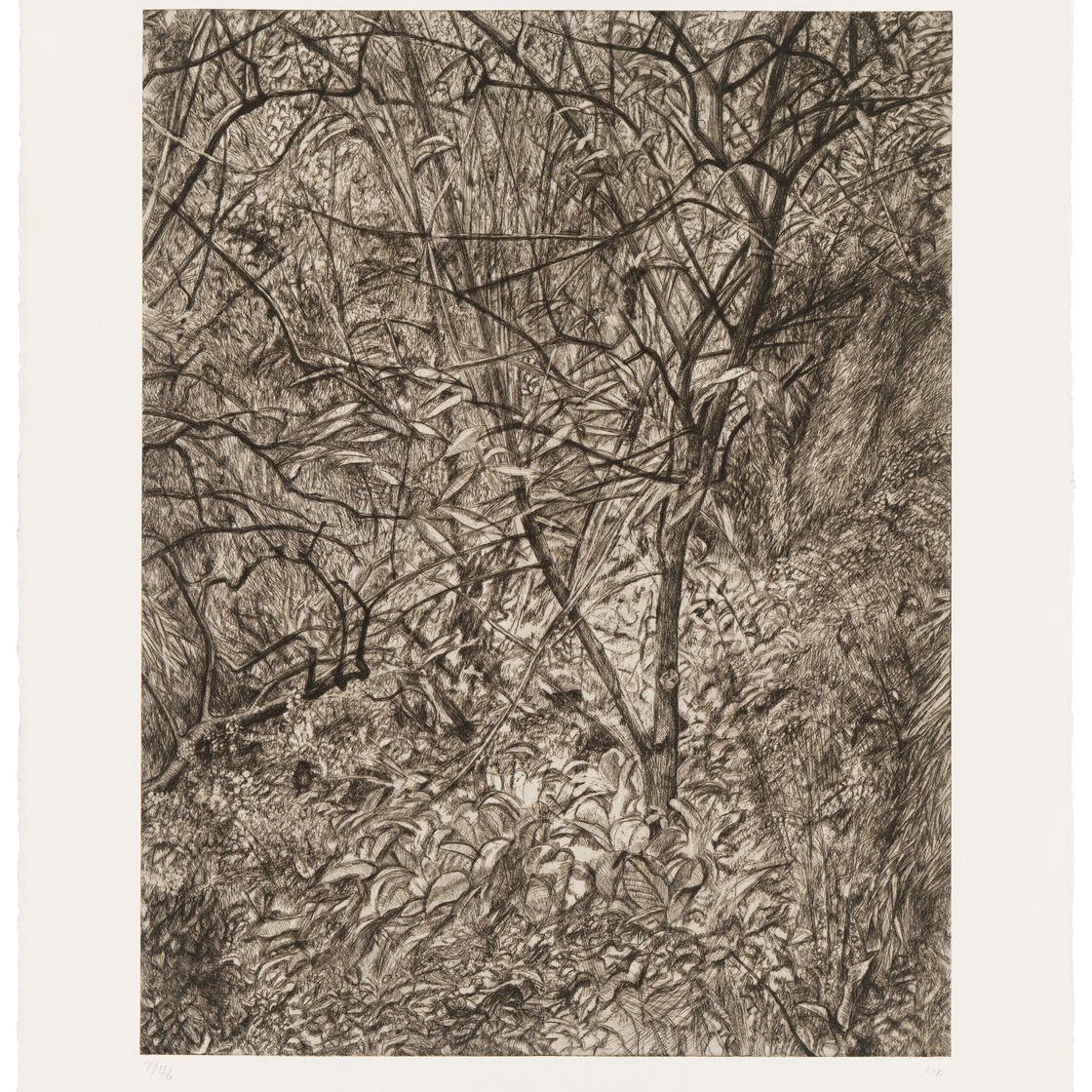 Lucian Freud — Зимний сад