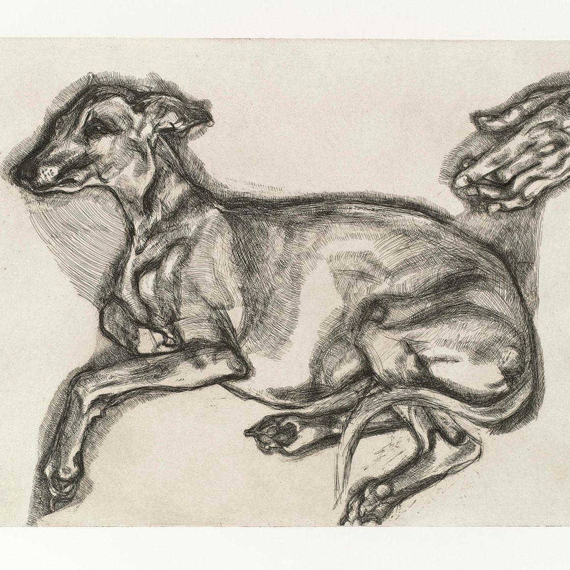 Lucian Freud — Плутону было двенадцать лет