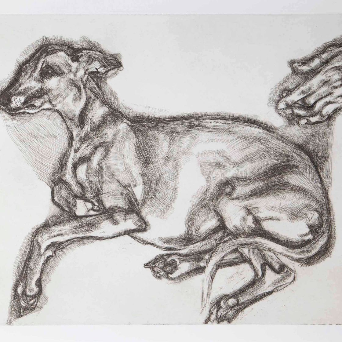 Lucian Freud — Плутону было двенадцать лет