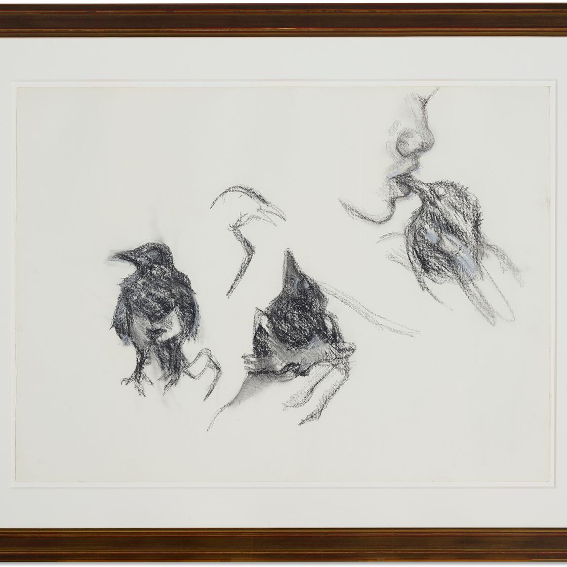 Lucian Freud — Молодая сорока, изображение 2