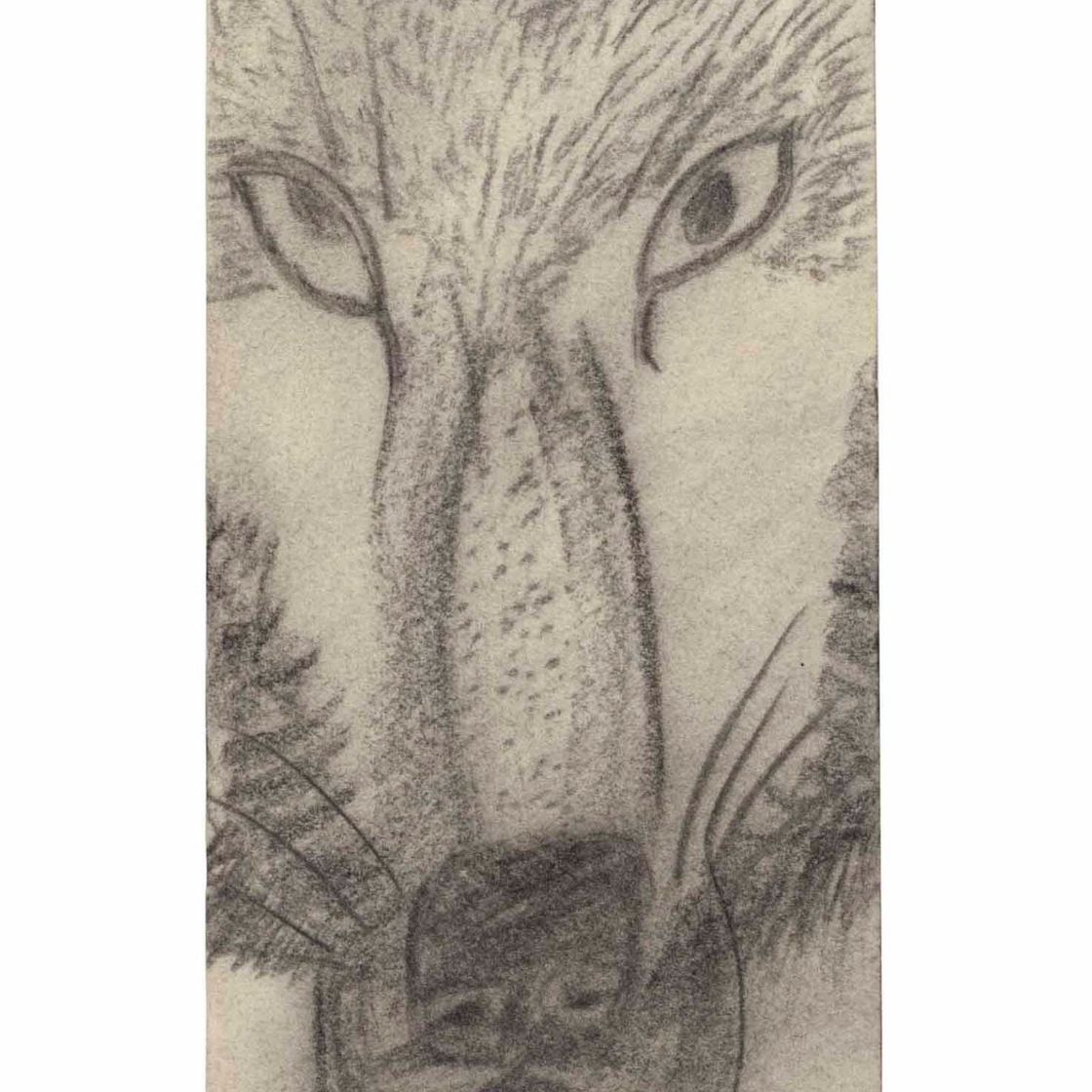 Lucian Freud — Волк