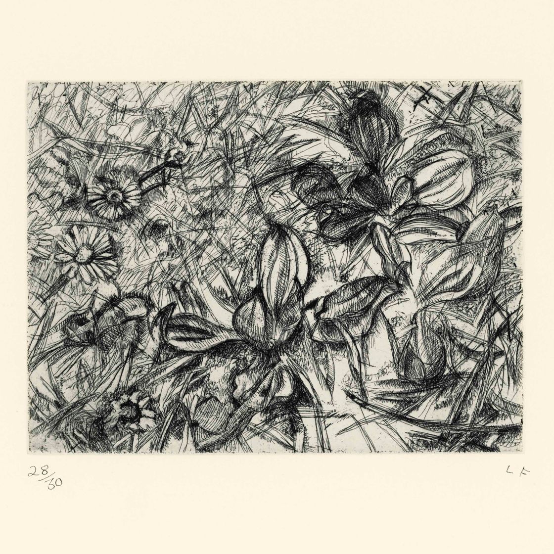 Lucian Freud — Пейзаж
