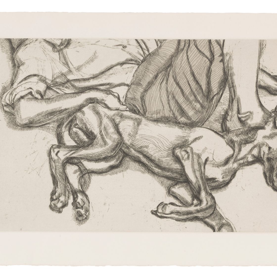 Lucian Freud — Плутон