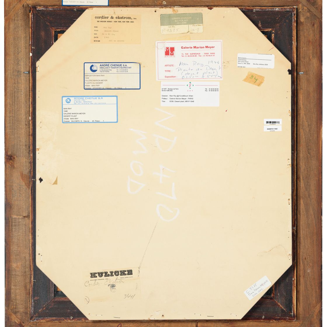 Man Ray — Пустынное растение, изображение 5