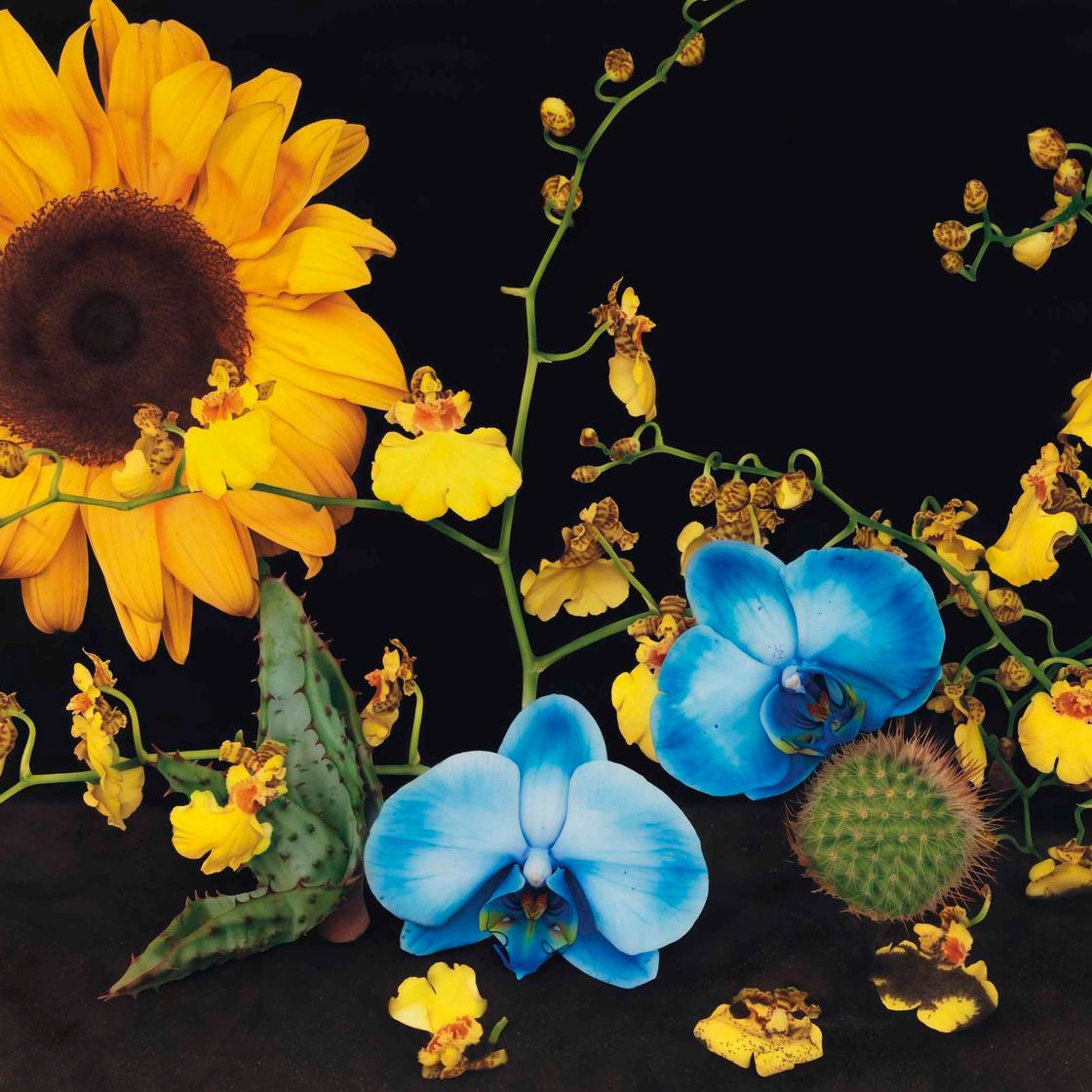 Marc Quinn — Под вулканом Эбеко