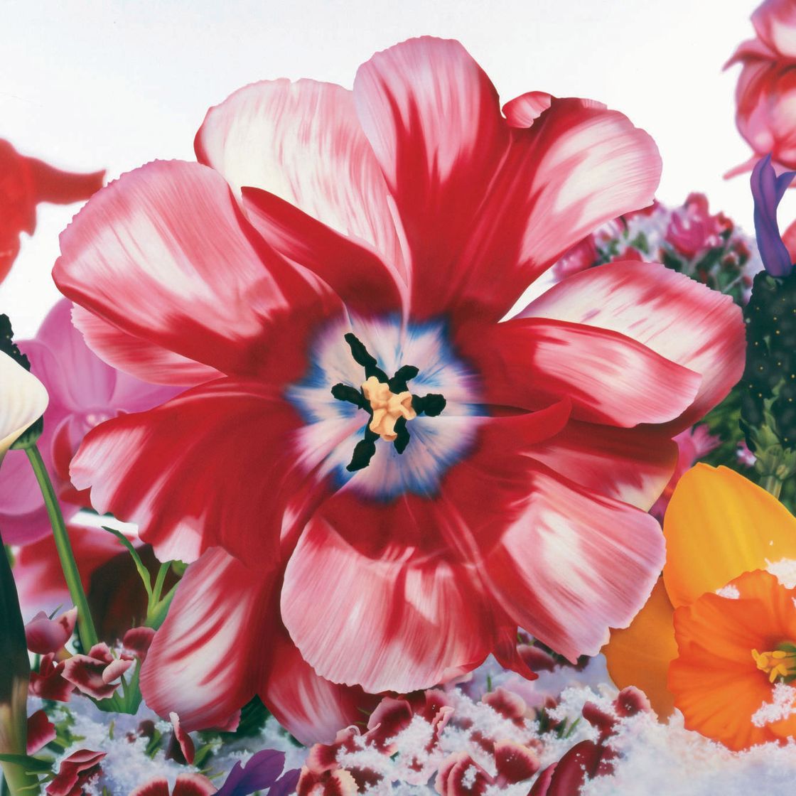 Marc Quinn — День солнцестояния на Северном полюсе