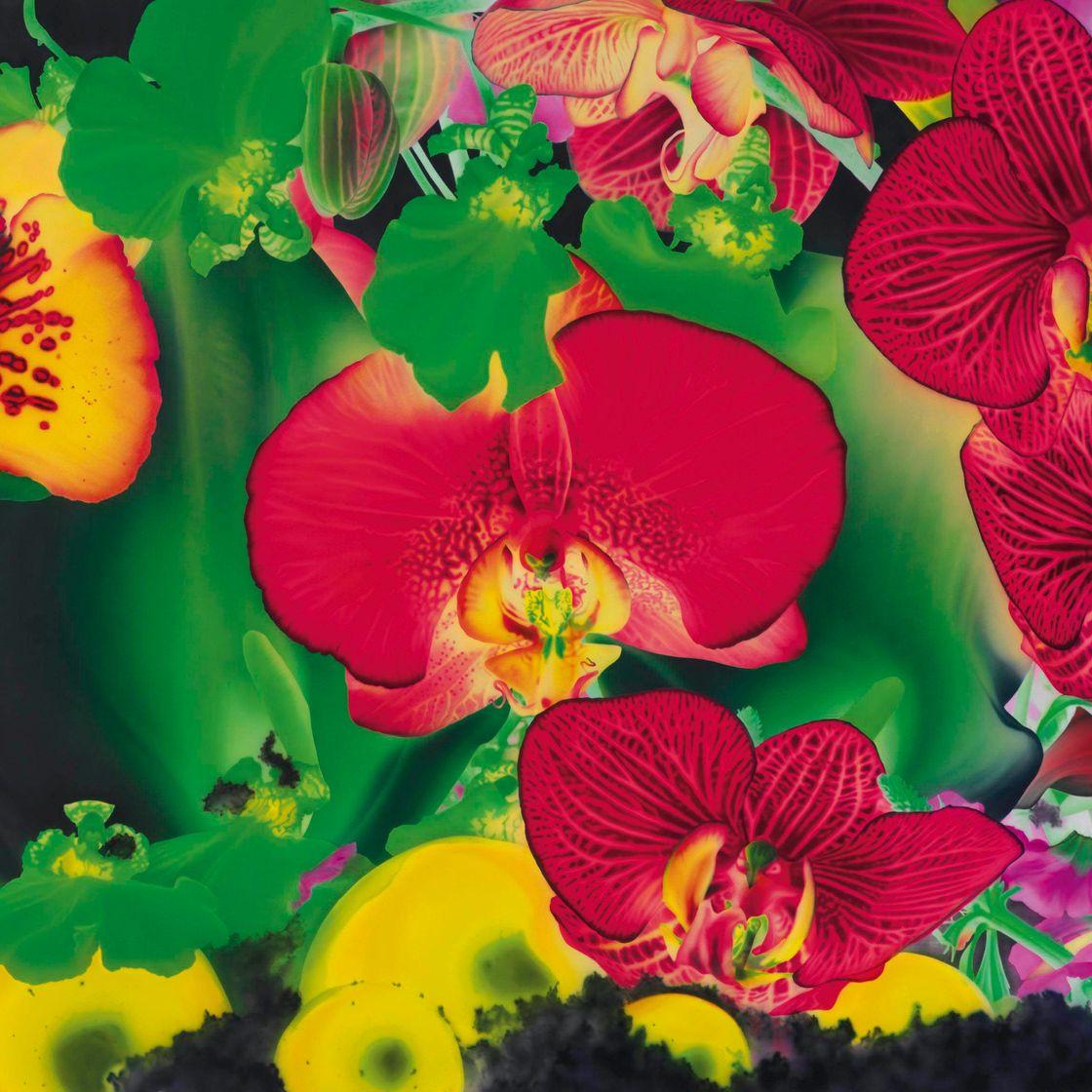 Marc Quinn — В ночном саду: Семена рождения звезд