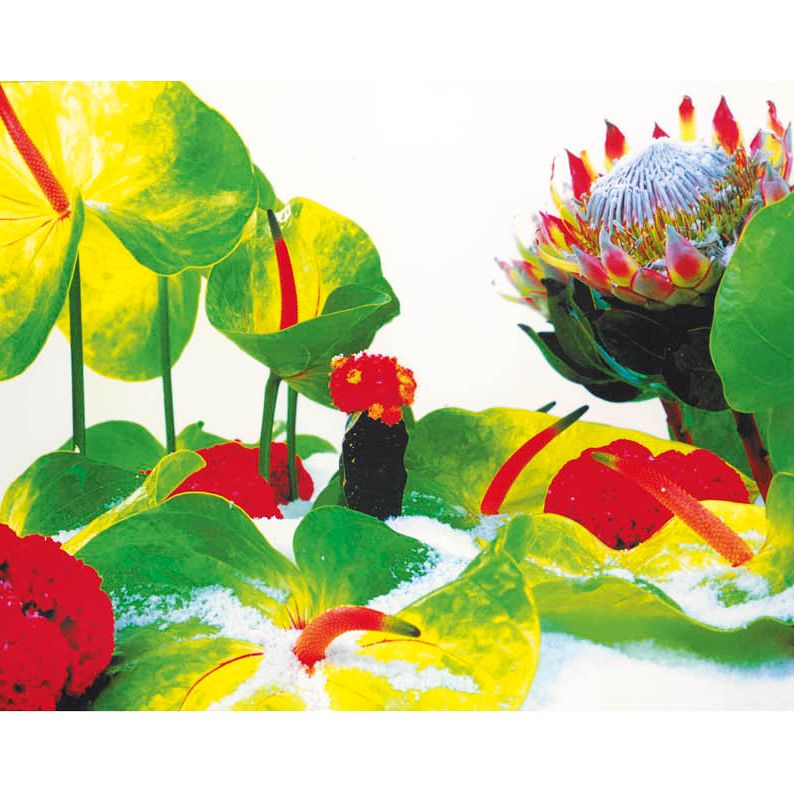 Marc Quinn — Зимний сад (Paragon Vol. III, стр.116-127)