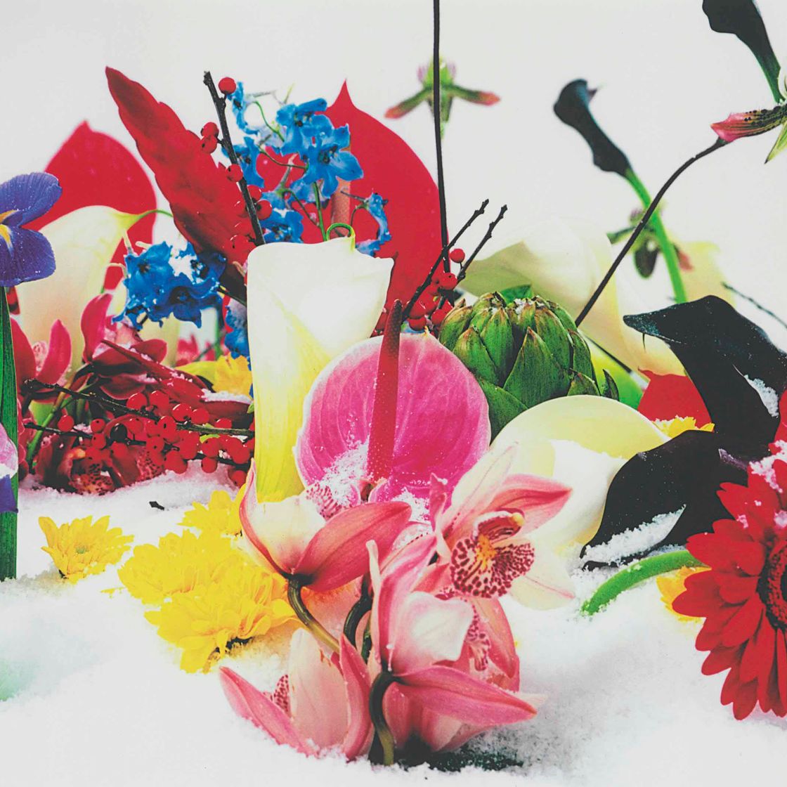 Marc Quinn — Зимний сад 2, из Зимнего сада