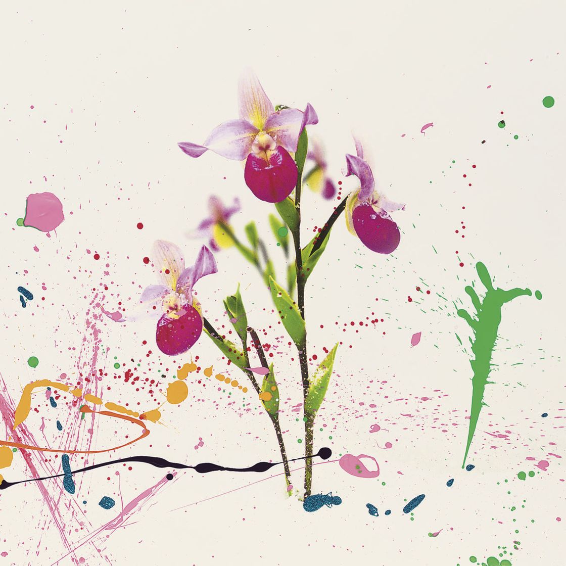 Marc Quinn — Марк Куинн